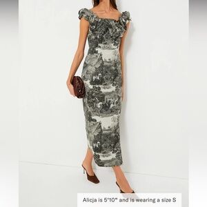 Middleburg Toile Suze Dress